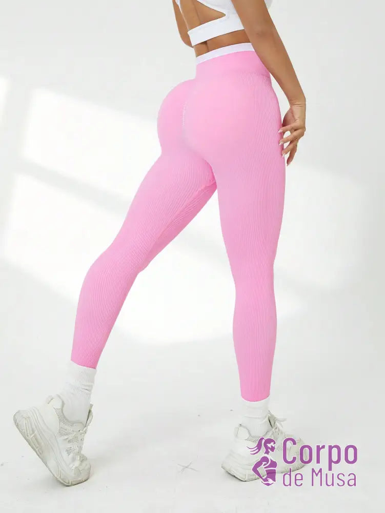 Legging Cintura Alta Seamless Com Cós Esportivo Fitness Legging Cintura Alta Seamless Com Cós Esportivo Fitness